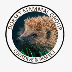 Dorset Mammal Group Logo