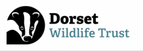 Dorset Wildlife Trust logo